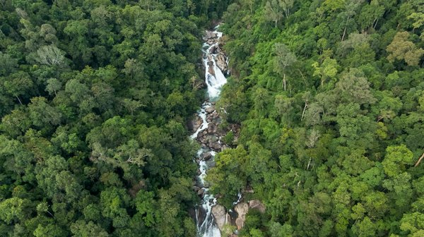 Roulette En Ligne Gagnez De L Argent Réel