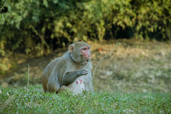 Rien Ne Vas Plus Casino