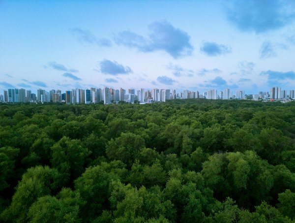 Set De Casino En Ligne Pas De Bonus De Dépôt