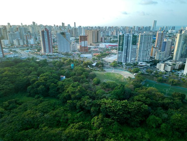 Royal Panda Casino No Deposit Bonus