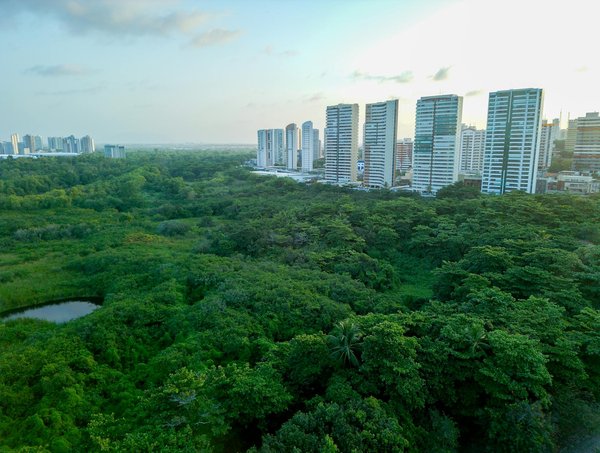 Tableau Comptage Points Belote