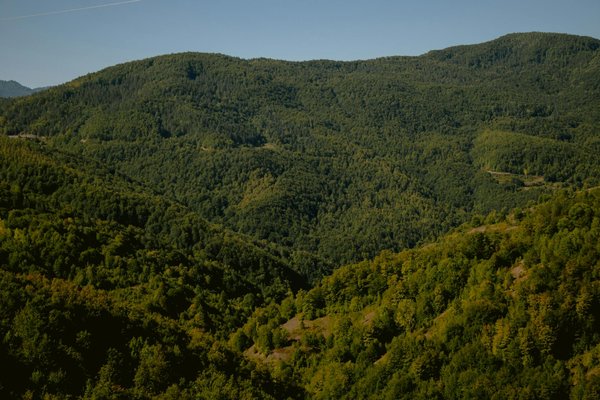 Roulette En Ligne Avec Des Règles Françaises