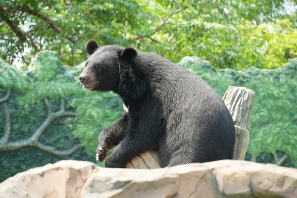 Slots Casino Jeux En Ligne Gratuitsment