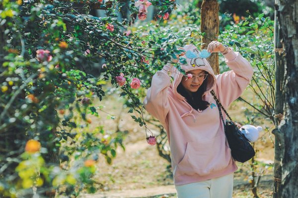 Roulette En Ligne Sans Inscription