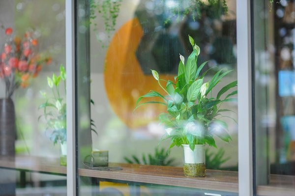 Rêver De Gagner Aux Machines à Sous