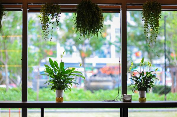 Slots Gratuits Sans Enregistrer