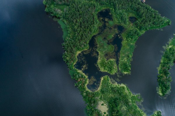 Space Win Casino 50 Free Spins